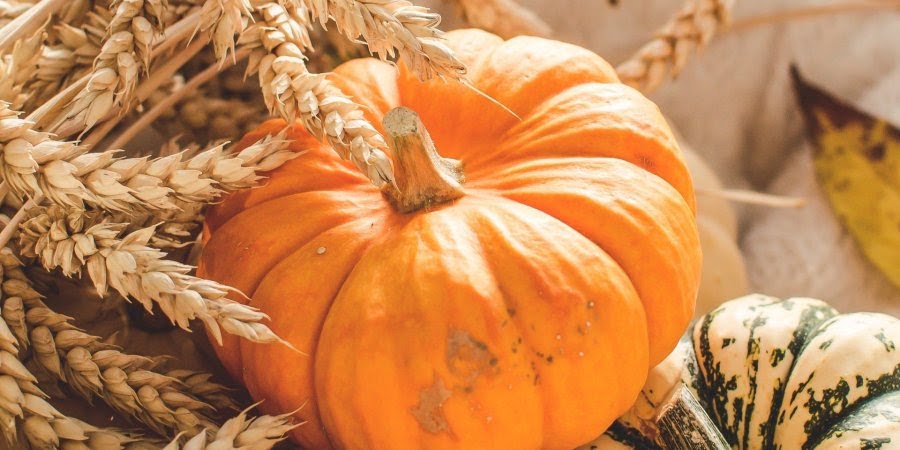 Не только для каши: как херсонкам использовать тыкву, чтобы улучшить здоровье и сохранить красоту
