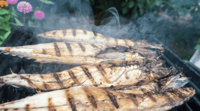 Что выбирают современные пользователи грилей для своего дома?