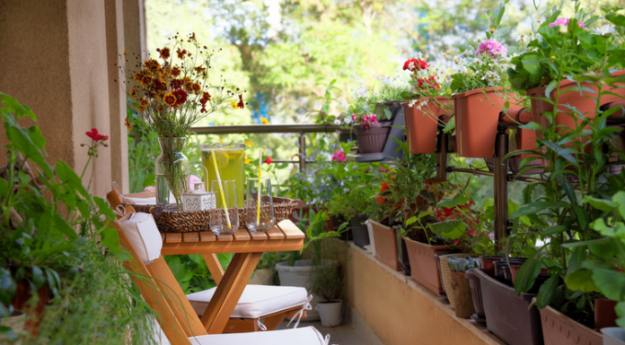 Садоводство на балконе: как вырастить зелень, овощи и цветы в условиях города